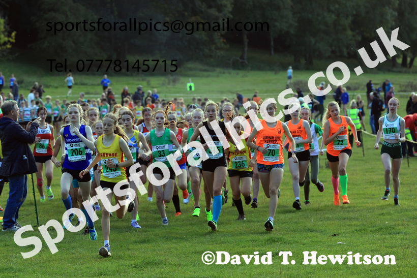 Girls Under-16s, 2026 NEHL, Thornley Hall Farm, Peterlee, County Durham. Photo: David T. Hewitson/Sports for All Pics